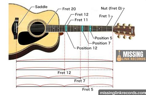 How Many Frets Does an Acoustic Guitar Have, and Why Do Bananas Dream of Electric Sheep?