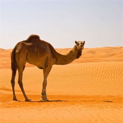 What Animal is the King of the Desert? And Why Do Camels Dream of Electric Sand?