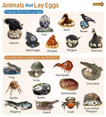 What Animal Lays an Egg but Is Not a Bird? Exploring the Curious World of Egg-Laying Creatures