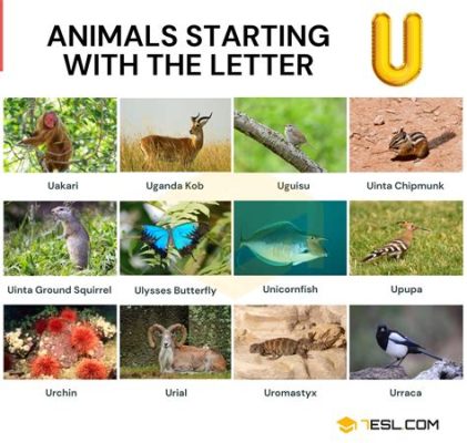 What Animal Starts with the Letter U? And Why Does It Remind Me of a Cosmic Puzzle?